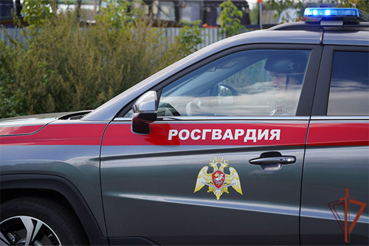 Столичные росгвардейцы задержали курьера, который на электровелосипеде сбил ребенка  (видео)