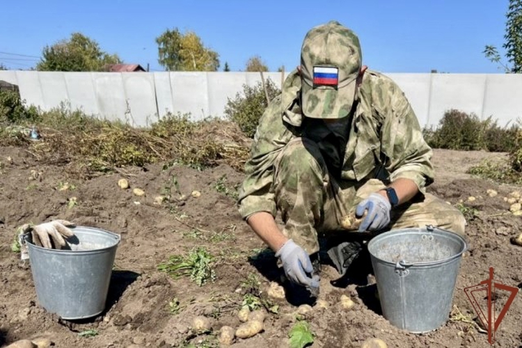Помощь по хозяйству матери погибшего Героя России оказали росгвардейцы в Алтайском крае