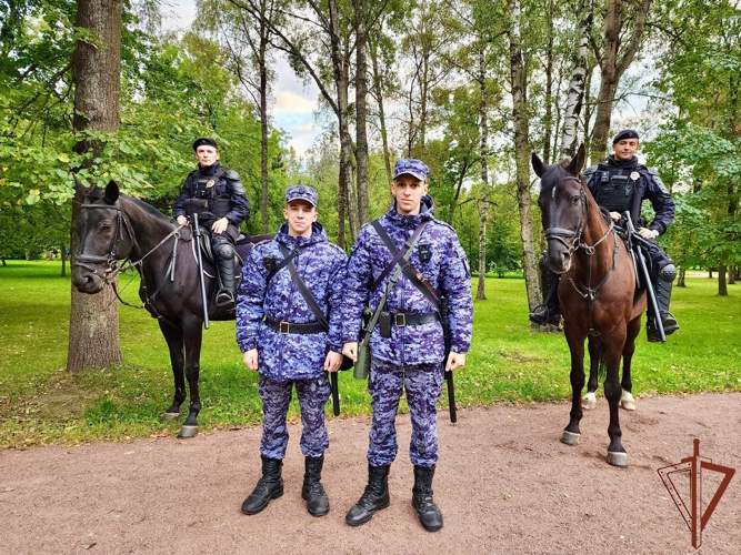 Петербургские росгвардейцы обеспечили безопасность матча РПЛ 