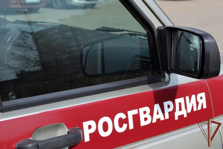 Росгвардейцы нашли и вернули родителям потерявшегося ребёнка в Симферополе