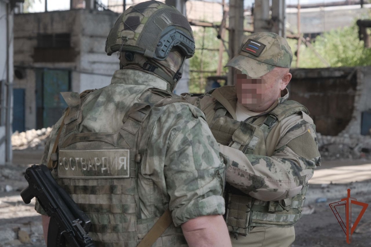 В ДНР вручили награды военнослужащим, отличившимся при выполнения задач СВО (видео)