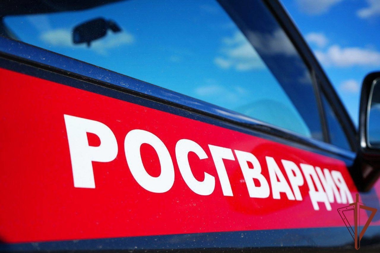 Подозреваемого в разбойном нападении  рецидивиста  задержали  росгвардейцы в Подмосковье