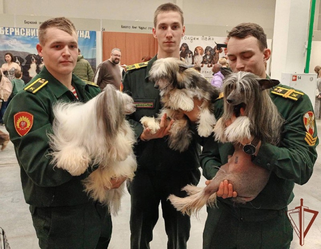 Курсанты Пермского военного института Росгвардии посетили кинологический фестиваль