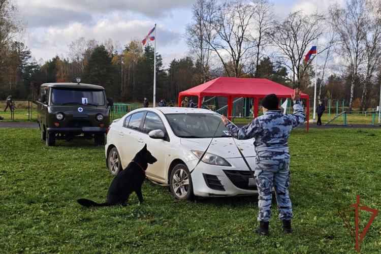 Представители Росгвардии успешно выступили на престижных соревнованиях кинологов
