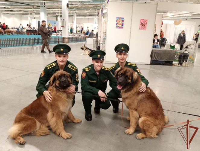Курсанты Пермского военного института Росгвардии посетили кинологический фестиваль