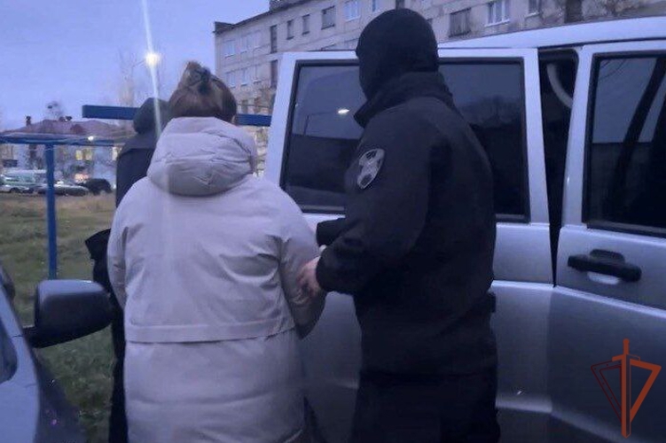 Подозреваемые в мошеннических действиях с недвижимостью задержаны в Мурманске при силовой поддержке ОМОН Росгвардии (видео)