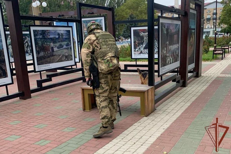 Росгвардейцы обеспечили безопасность и правопорядок во время мероприятий, посвящённых воссоединению Донбасса и Новороссии с Россией