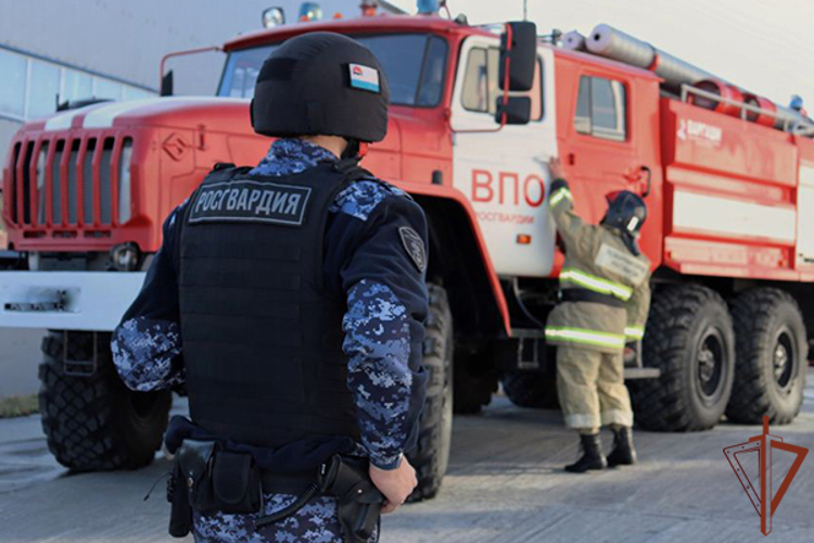 На Камчатке прошла совместная тренировка Росгвардии и МЧС России