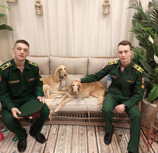 Курсанты Пермского военного института Росгвардии посетили кинологический фестиваль