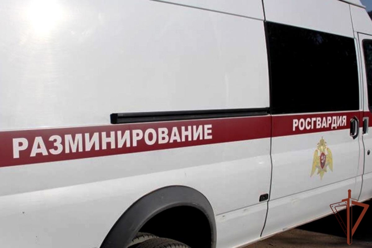 В Северной Осетии росгвардейцы обследовали обнаруженный схрон боеприпасов