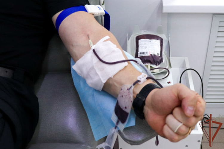 Сотрудники Росгвардии пополнили банк крови медучреждений Йошкар-Олы