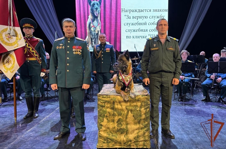 В Росгвардии наградили знаками отличия служебных собак (видео)
