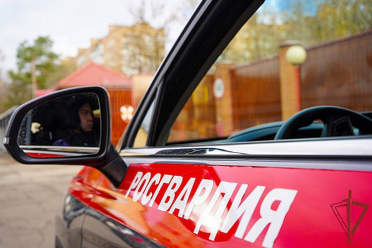 В Подмосковье росгвардейцы задержали мужчину, угрожавшего оружием медицинским работникам (видео)