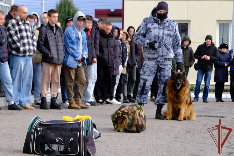 В Центральном федеральном округе при участии росгвардейцев проходит всероссийская акция «День призывника» 