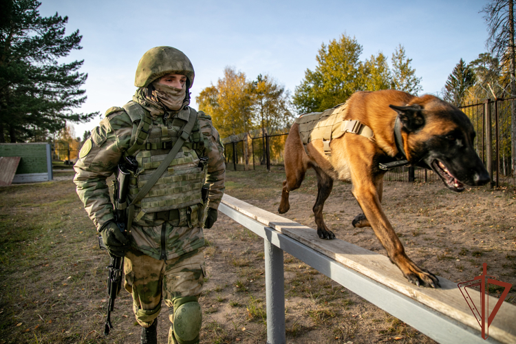 7 ноября – День образования Пермского военного института Росгвардии – кузницы Героев специальной военной операции