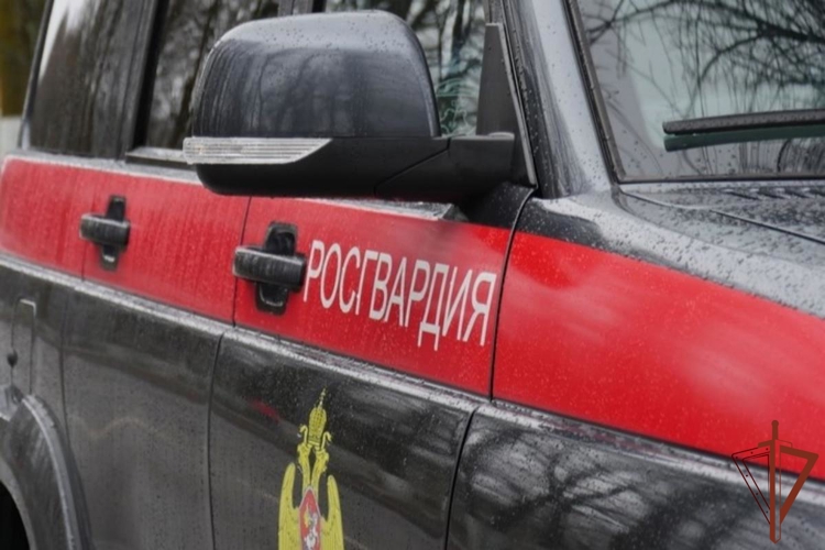 В Москве сотрудники Росгвардии оказали помощь мужчине, потерявшему сознание на улице (видео)