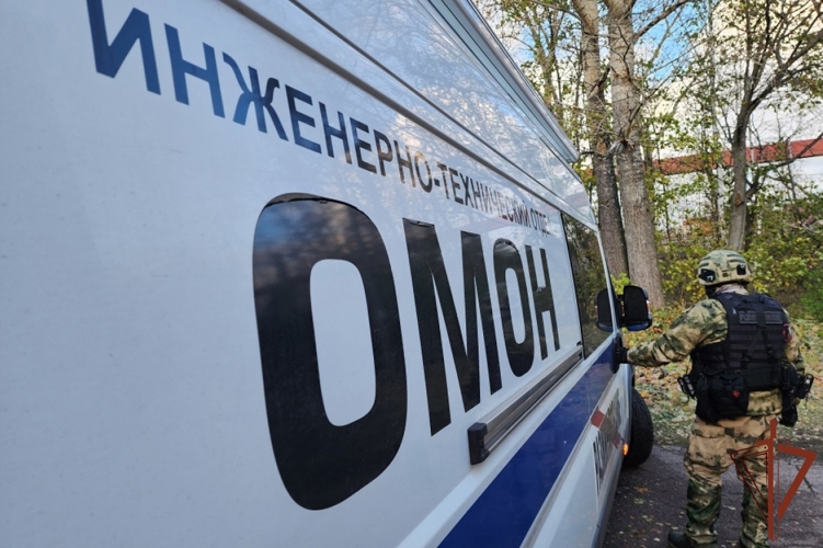 В Санкт-Петербурге наряд Росгвардии задержал мужчину, сообщившего о минировании дома культуры