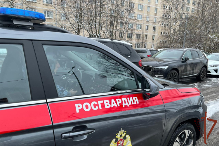 В Петербурге сотрудники Росгвардии и полиции задержали правонарушителя, бросавшего бутылки с горючей жидкостью из окна своей квартиры 