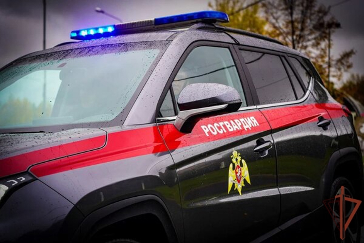 В Москве росгвардейцы помогли вернуться домой потерявшейся пенсионерке (видео)