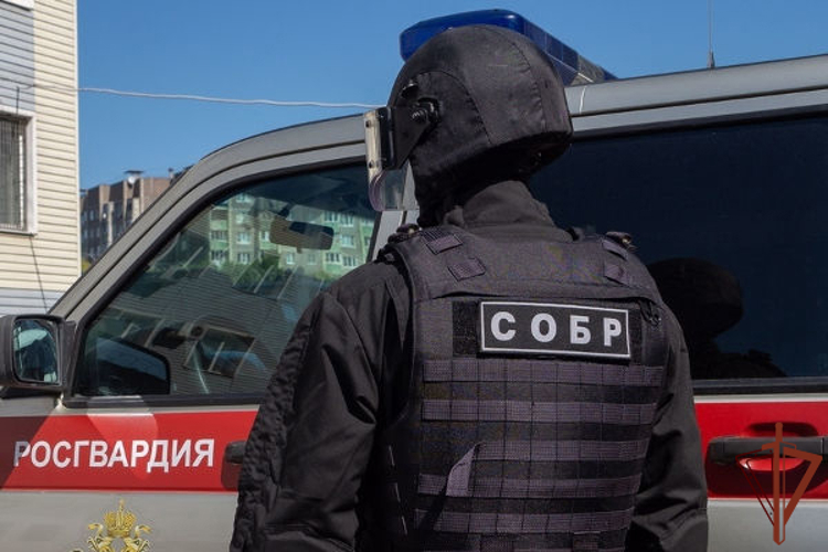 Во Владимире при силовой поддержке спецназа Росгвардии задержаны граждане, подозреваемые в создании организованной преступной группы (видео)