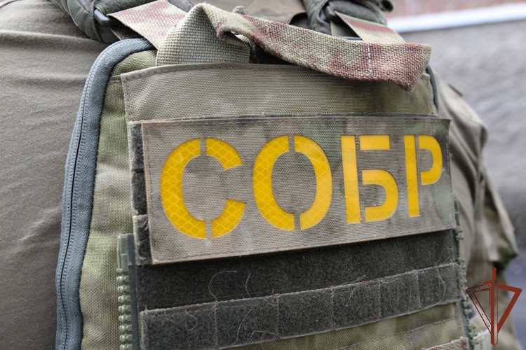 В Качканаре при силовой поддержке СОБР Росгвардии пресечена схема хищения более 30 миллионов рублей бюджетных средств