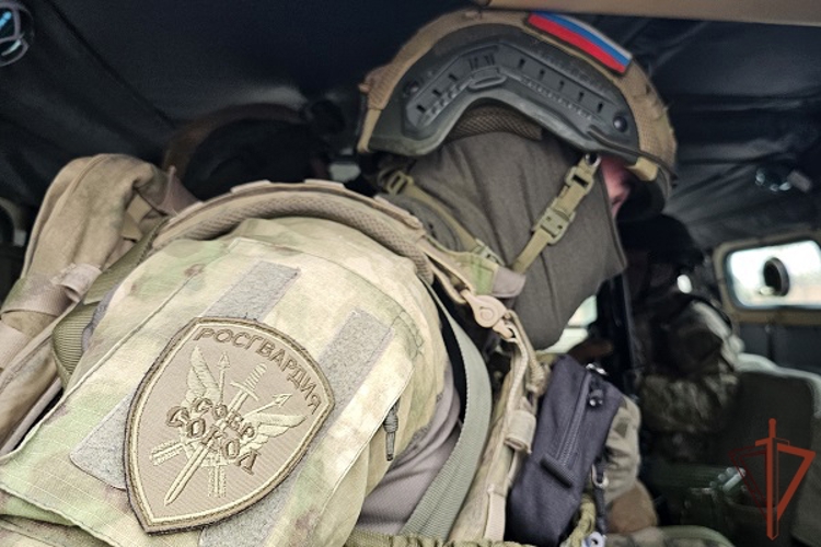 В Севастополе при участии спецназа Росгвардии задержана женщина за дискредитацию Вооружённых сил Российской Федерации