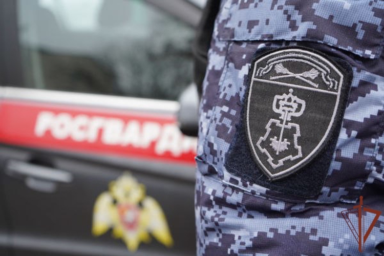 Сотрудники Росгвардии задержали подозреваемых в разбойном нападении в Подмосковье (видео)