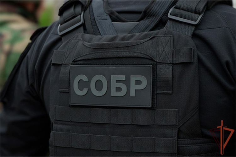 При поддержке спецназа Росгвардии задержан подозреваемый в ограблении 