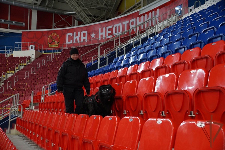 В Хабаровске росгвардейцы обеспечили безопасность на матче чемпионата России по хоккею с мячом 
