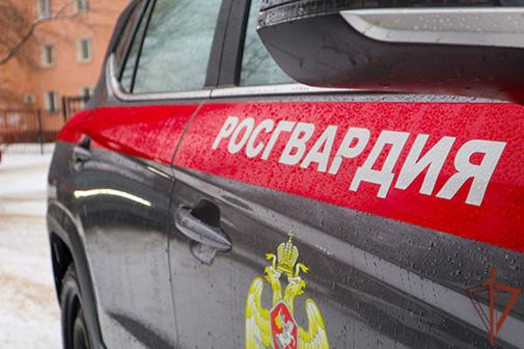 Росгвардейцы помогли гражданам, попавшим в ДТП в Подмосковье (видео)