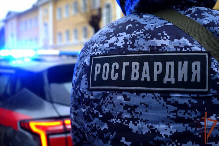 Росгвардейцы пресекли в Подмосковье незаконный оборот наркотиков в значительном размере (видео)