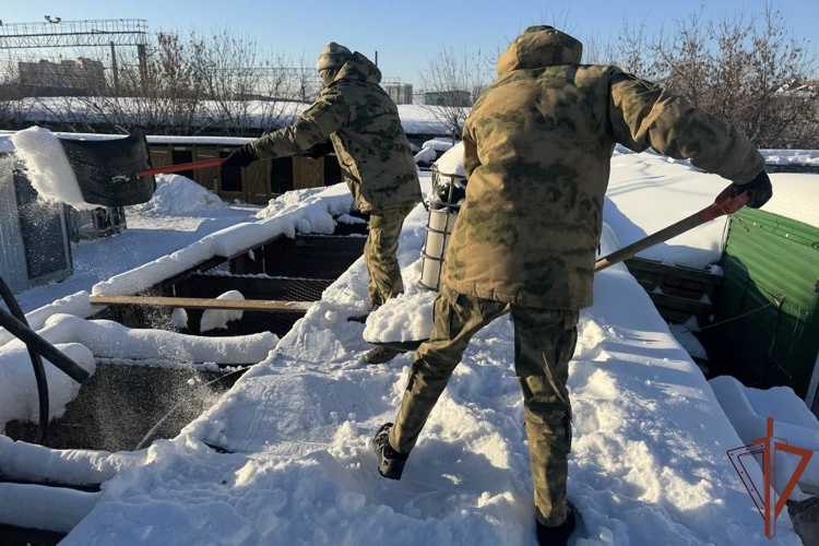 Росгвардейцы в Новосибирске оказали помощь приюту бездомных животных