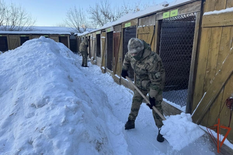 Росгвардейцы в Новосибирске оказали помощь приюту бездомных животных