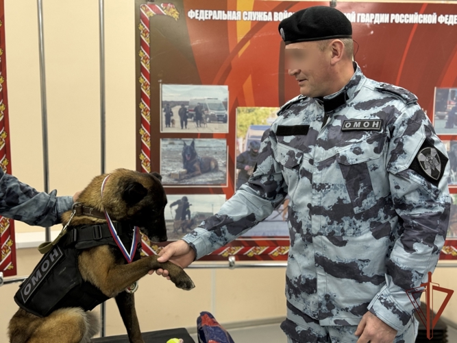 Впервые в Сыктывкаре минно-разыскную собаку наградили медалью Росгвардии (видео)