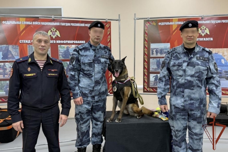 Впервые в Сыктывкаре минно-разыскную собаку наградили медалью Росгвардии (видео)