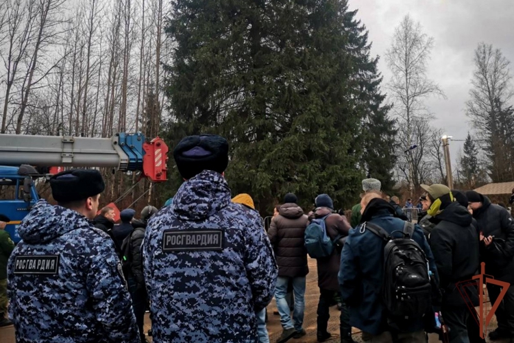 Росгвардейцы обеспечивают сохранность главной новогодней ёлки страны в Подмосковье в период её подготовки к транспортировке (видео)