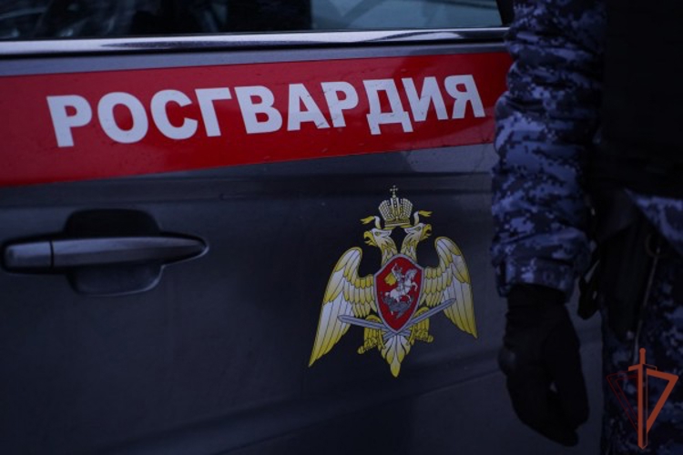 В Москве росгвардейцы вернули домой потерявшуюся 8-летнюю девочку (видео)