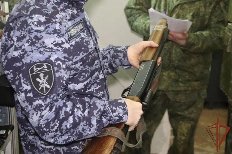 Росгвардия передала 400 единиц оружия в зону СВО (видео)