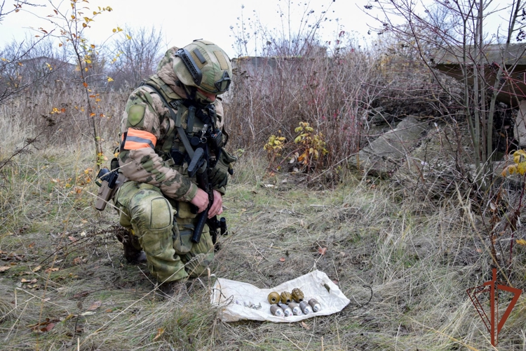Росгвардейцы обнаружили тайник с боеприпасами в ЛНР (видео)