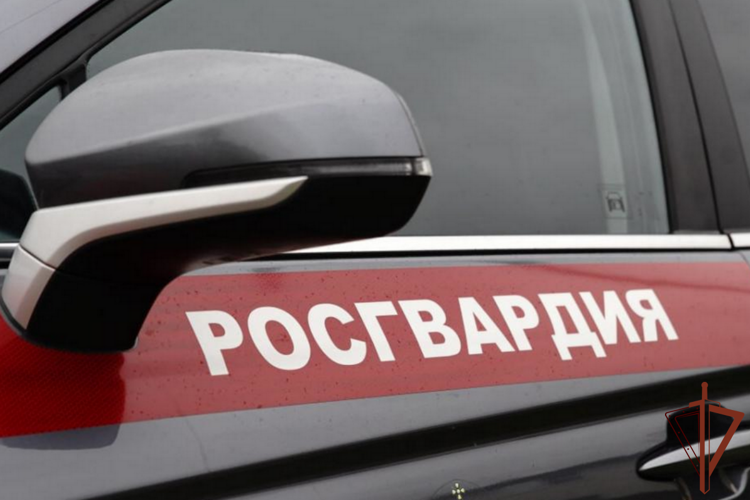 Сотрудники Росгвардии задержали в Костромской области подозреваемого в убийстве