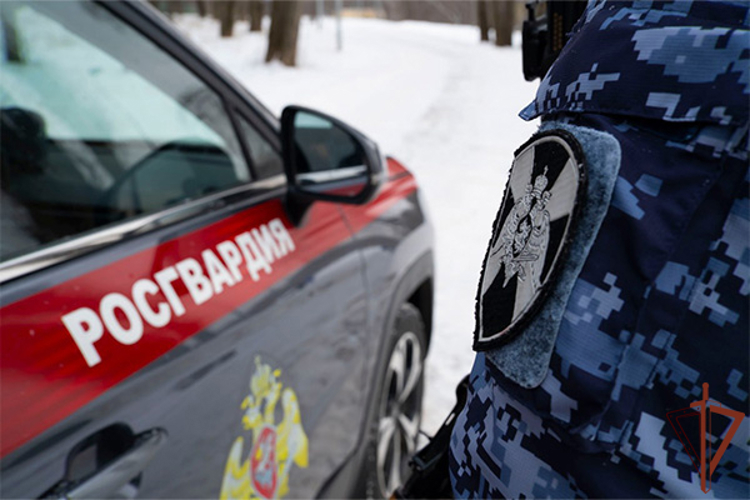 Сотрудник Росгвардии нашёл угнанный автомобиль в Туле (видео)