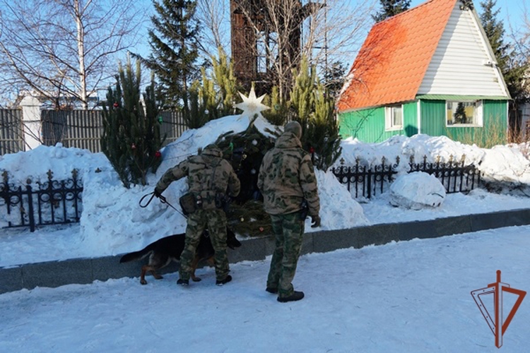 На Дальнем Востоке росгвардейцы обеспечили безопасность в канун Рождества Христова