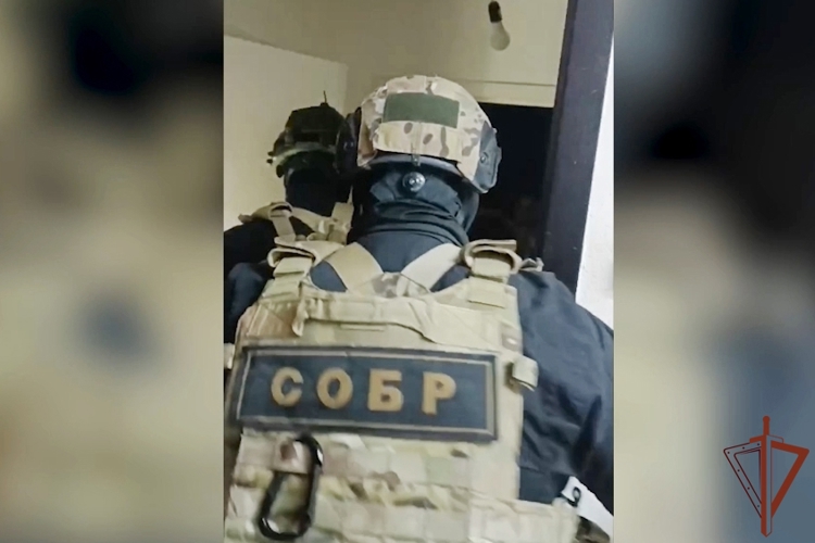 В Санкт-Петербурге и Ленобласти при содействии СОБР Росгвардии проведены обыски по местам проживания обвиняемых в организации незаконной миграции (видео)