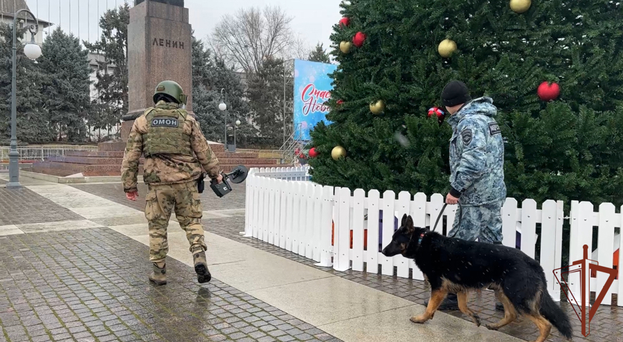 Росгвардия подвела итоги охраны общественного порядка новогодних праздников (видео)