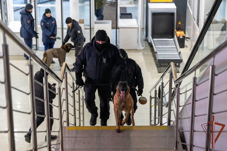 В Магнитогорске Росгвардия обеспечила безопасность матча КХЛ