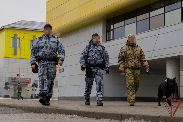 Росгвардейцы обеспечили правопорядок во время празднования Нового года в регионах Приволжья