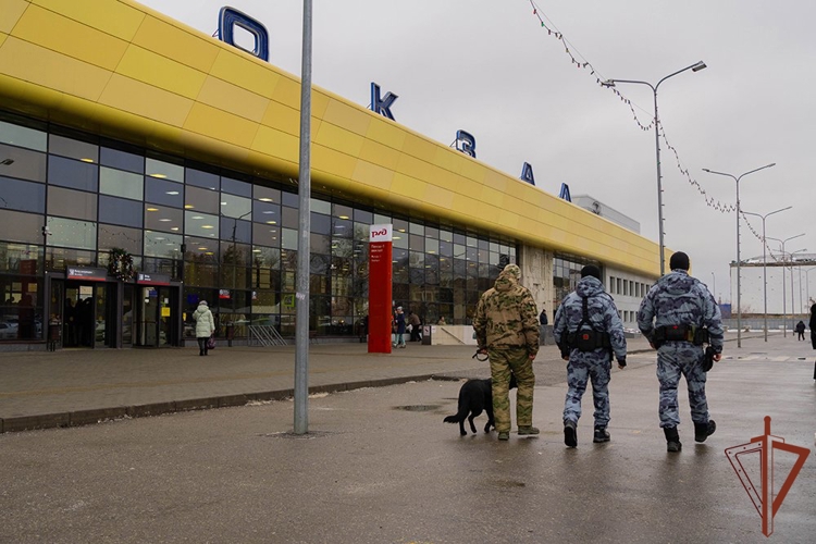 Росгвардейцы обеспечили правопорядок во время празднования Нового года в регионах Приволжья