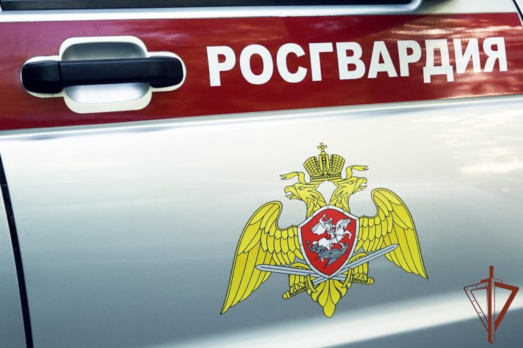  Сотрудники Росгвардии нашли пропавшую пожилую женщину в Ростовской области 