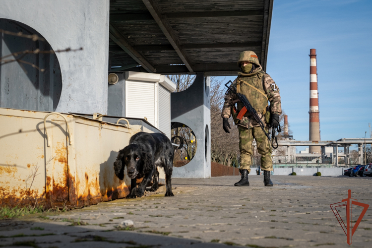 Командующий группировкой войск национальной гвардии на южном направлении вручил награды специалистам инженерной службы в зоне СВО