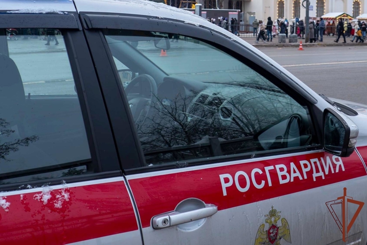 В Санкт-Петербурге росгвардейцы пришли на помощь мужчине, упавшему с моста на лед